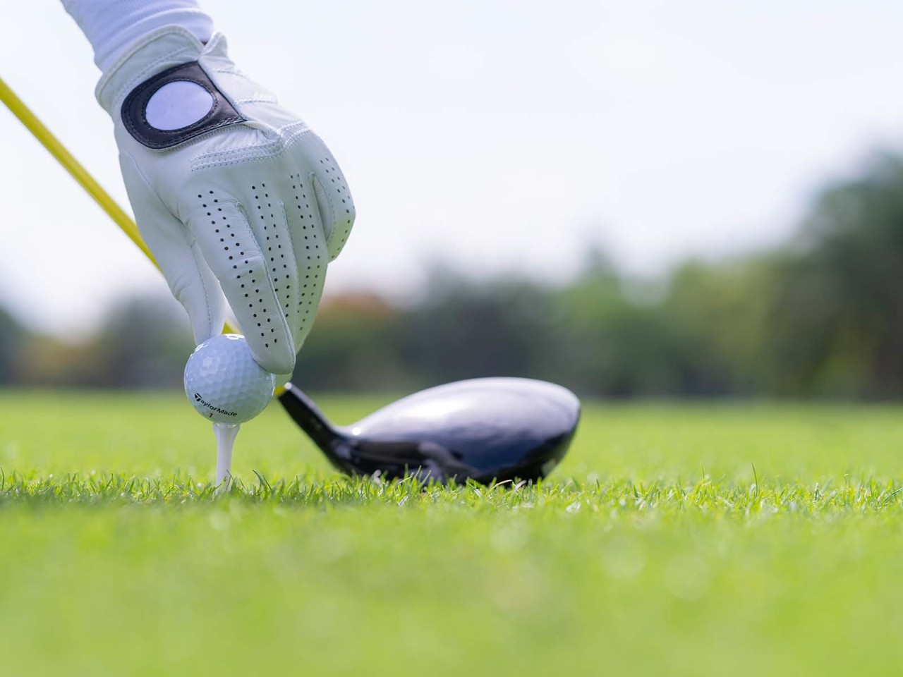 Hand placing golf ball on tee