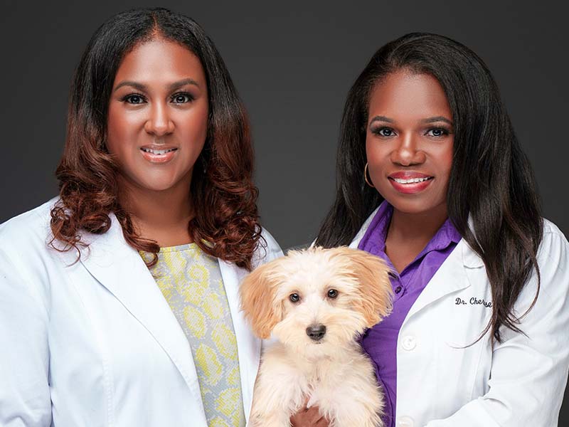 Skyline Animal Hospital