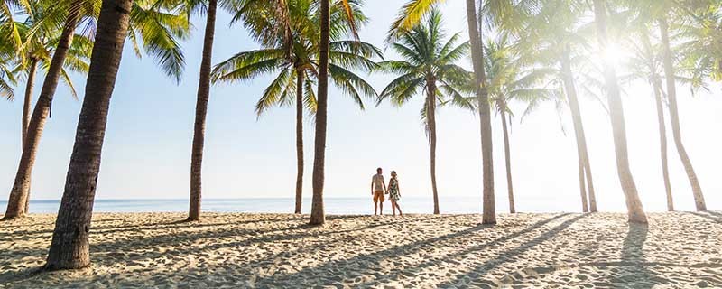 Couple standing on sandy beach among palm trees on sunny morning